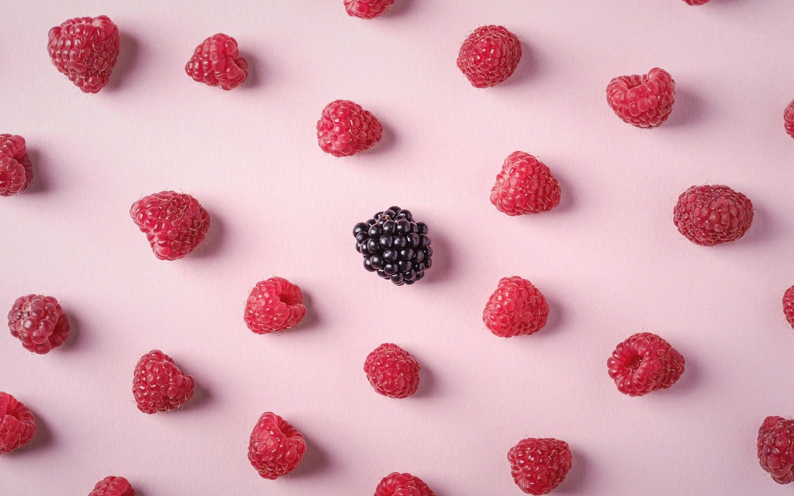 A single blackberry surrounded by rows of raspberries on a pink background