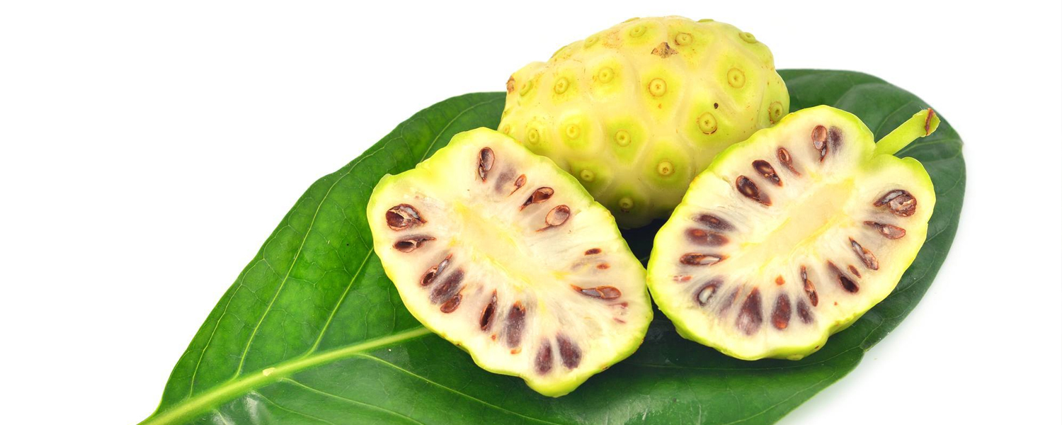 Are Noni Products Worth Spending Money On