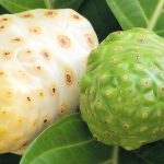 noni indian mulberry